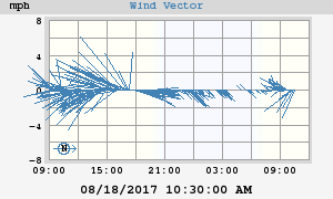 Wind Vector